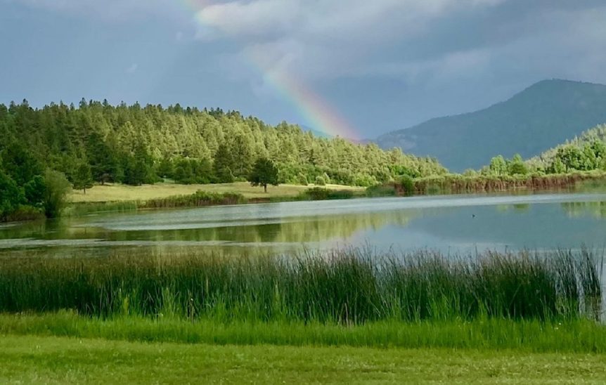 Collins Lake