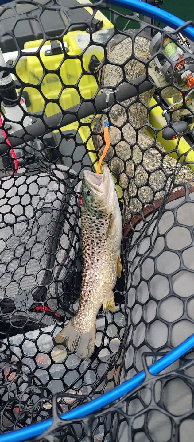 Trix Worms 3" - Trout Soft Bait - 5 Pack for king salmon, salmon, trout - Catch America product image