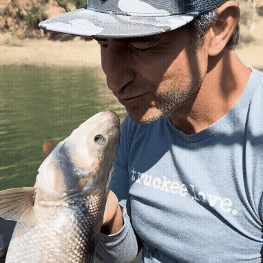 Valentine's Day Bundle