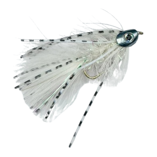 Metal Head Fly