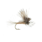 Fly Fishing Flies - Crippled Caddis