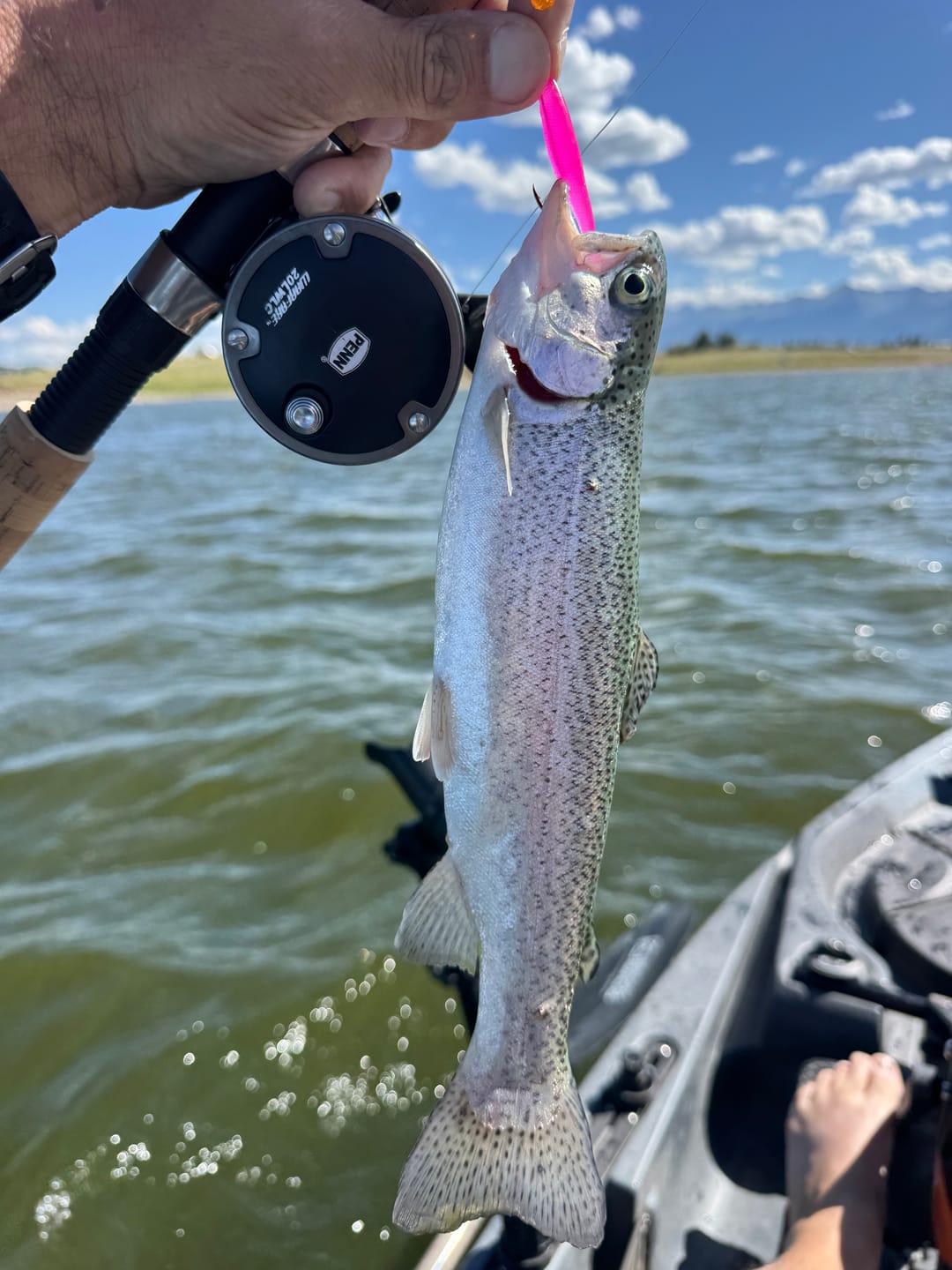 Trix Minnows - 5 pack