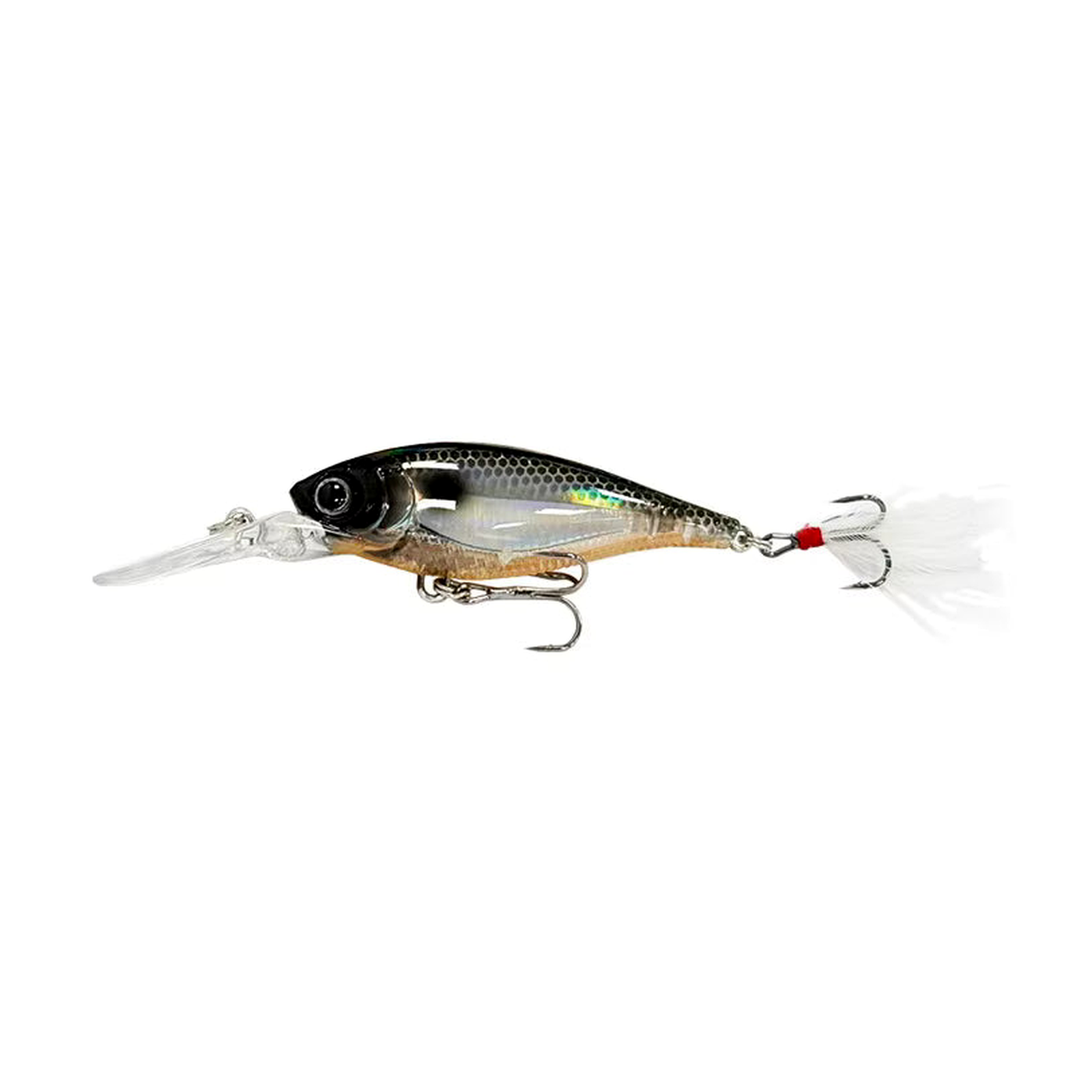 Fly Shad 2.75 inch floating hardbait Black Head Shad