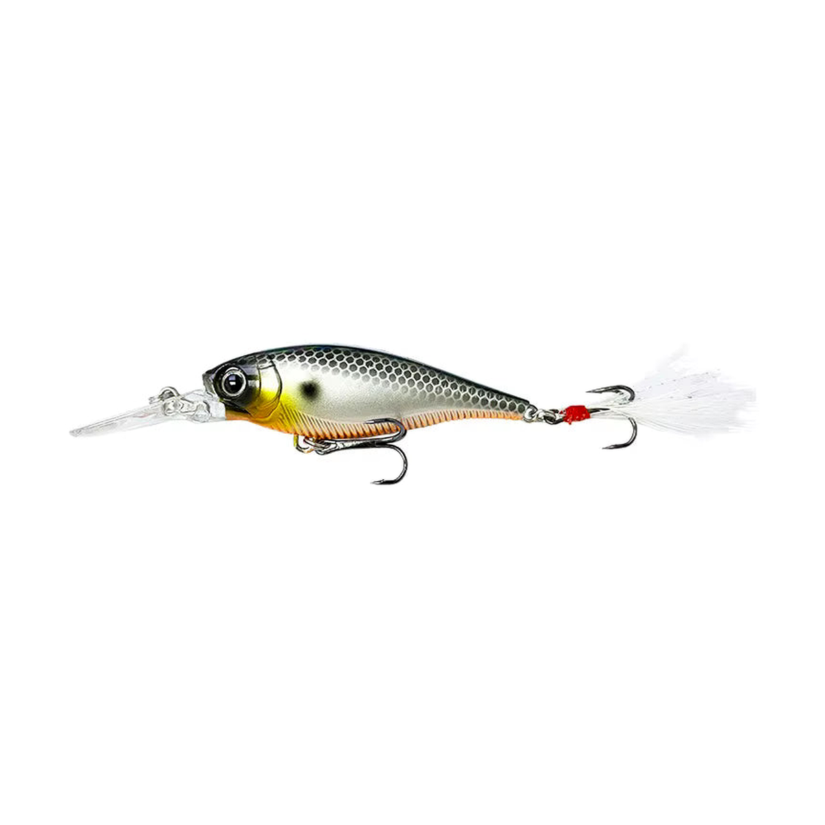 Fly Shad 2.75 inch floating hardbait Blk Head Orange Belly Shad