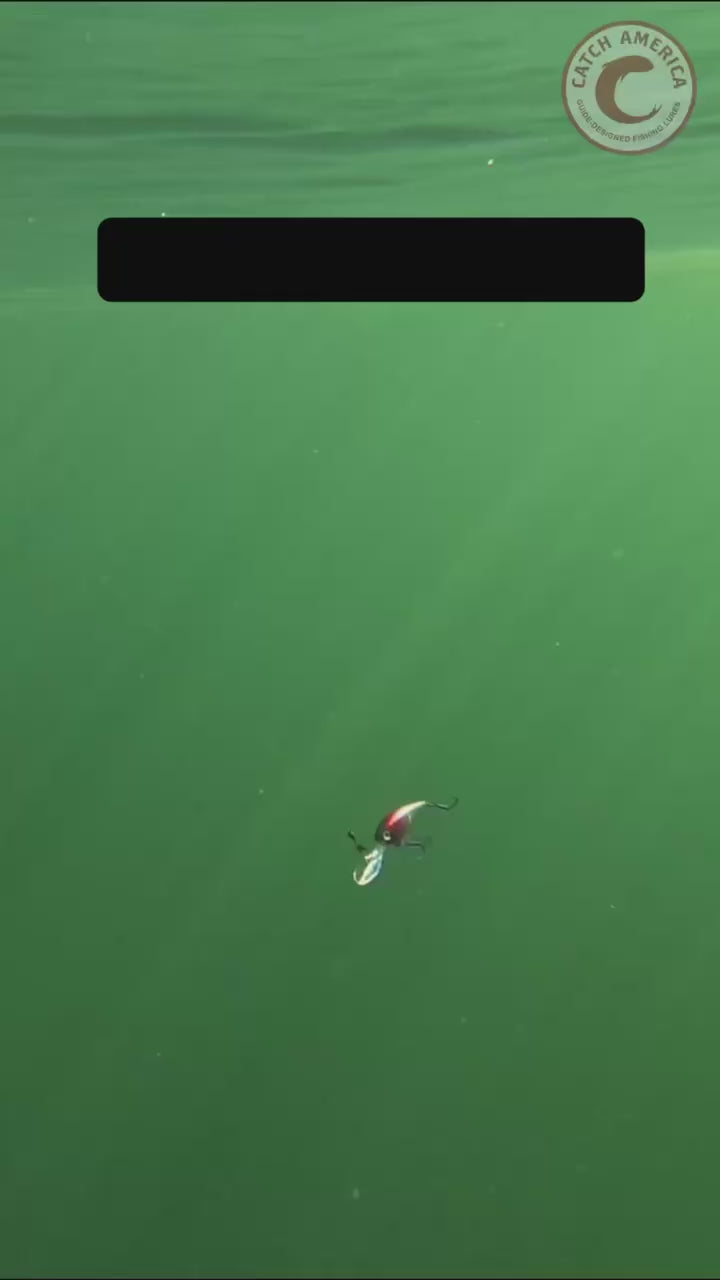 Load video: Trigger Shad™ Diving Plug