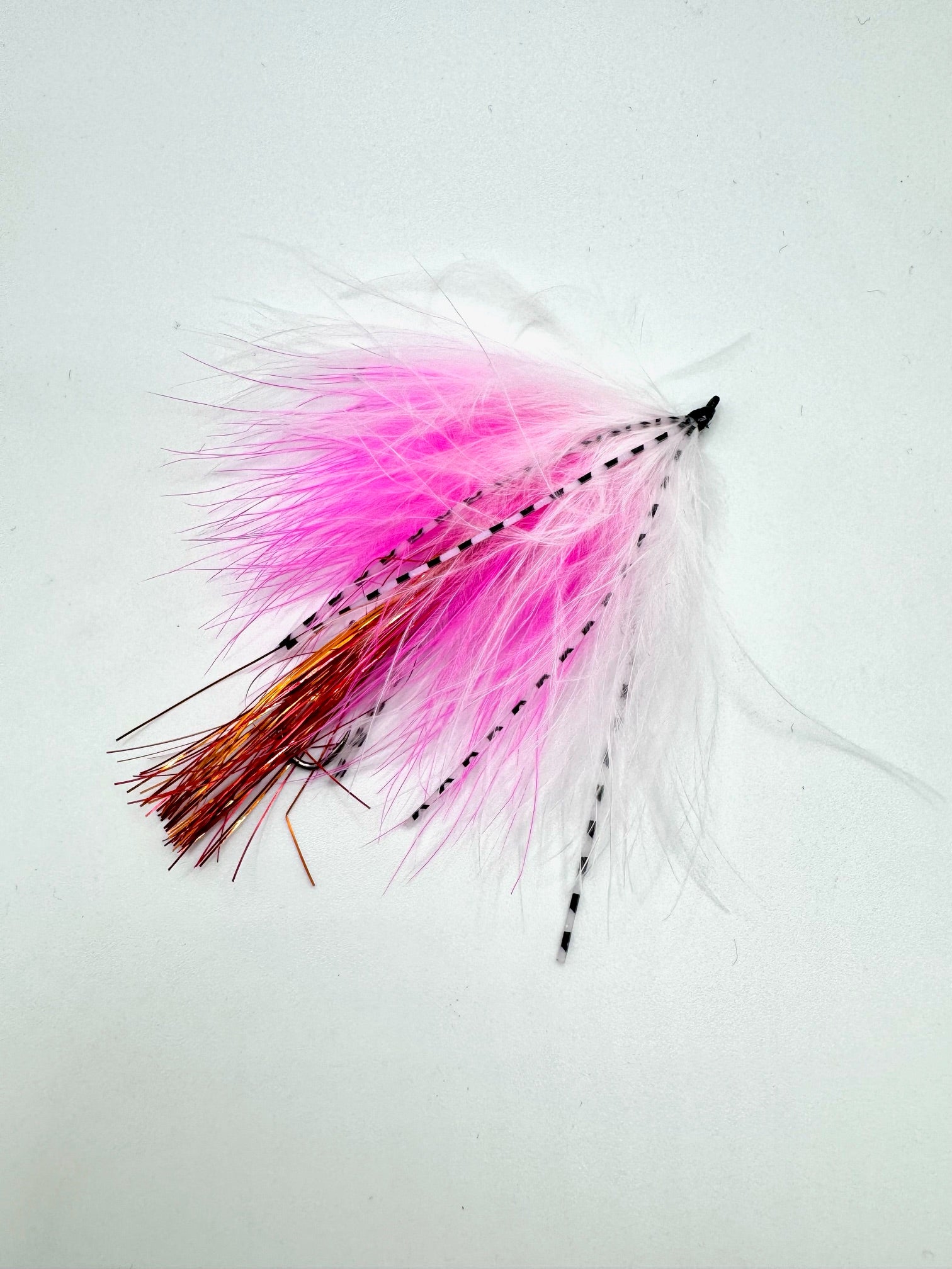 Trigger Fly – Catch America