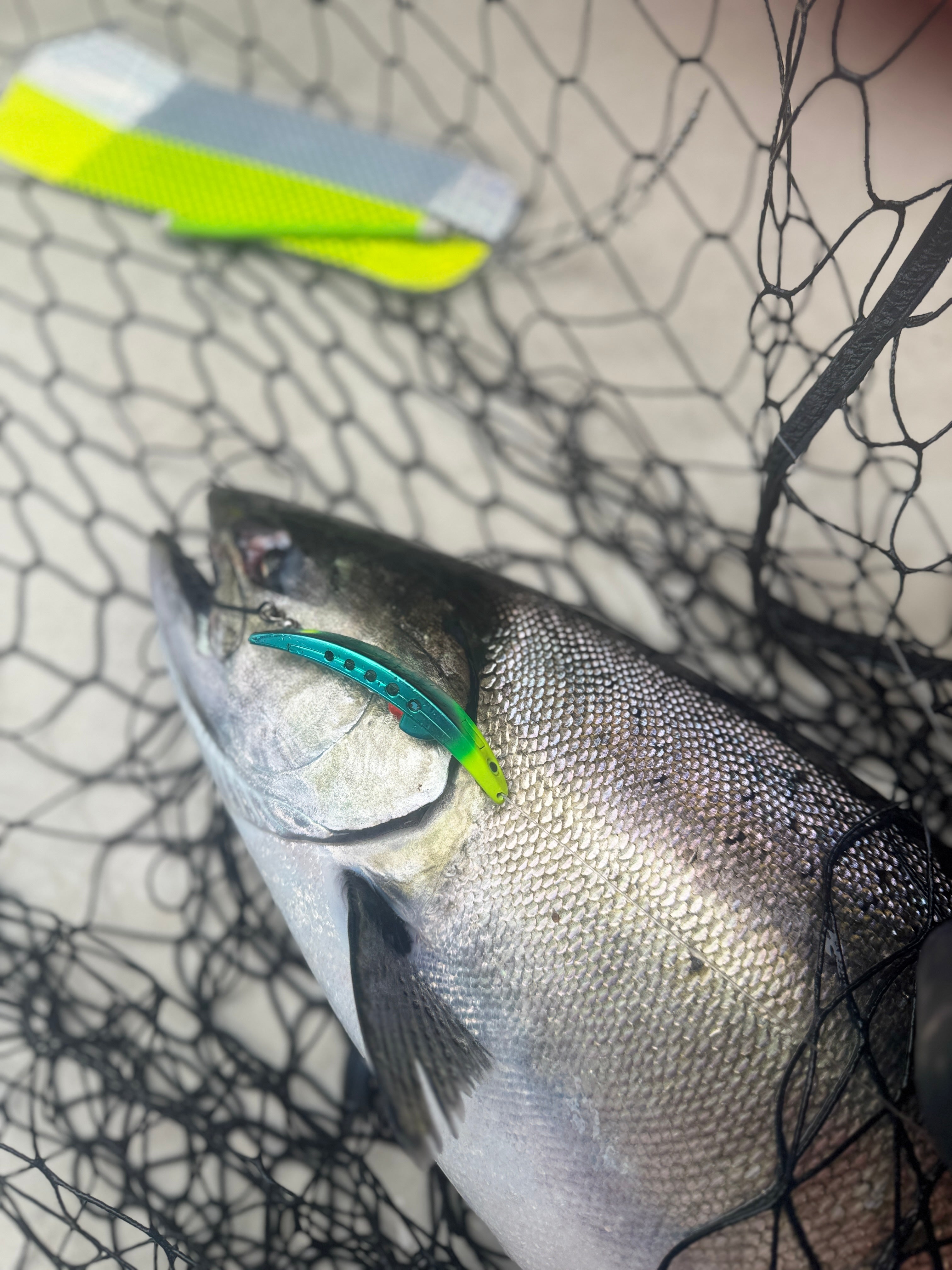 Brad's Original Super Bait 4.5 inch 2 Pack